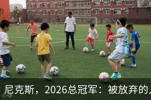 尼克斯，2026总冠军：被放弃的人们终会崛起